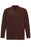 Antioch Brown Collar Regular Fit Men's Shirt